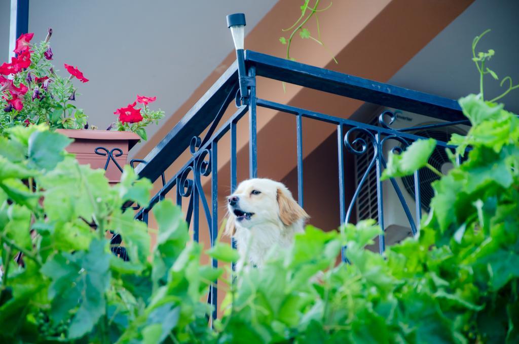 Nefeli Apartment Levidhion Ngoại thất bức ảnh