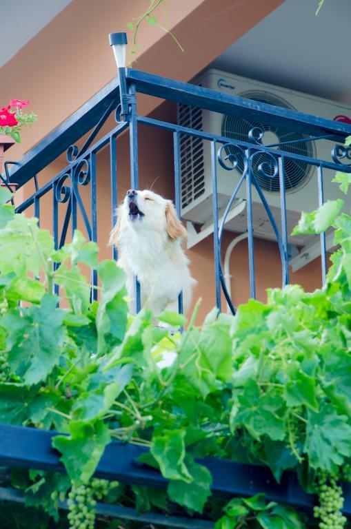 Nefeli Apartment Levidhion Ngoại thất bức ảnh